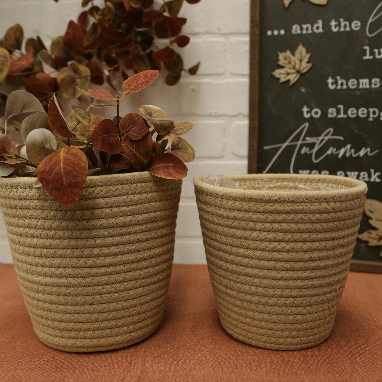 Baskets & Planters
