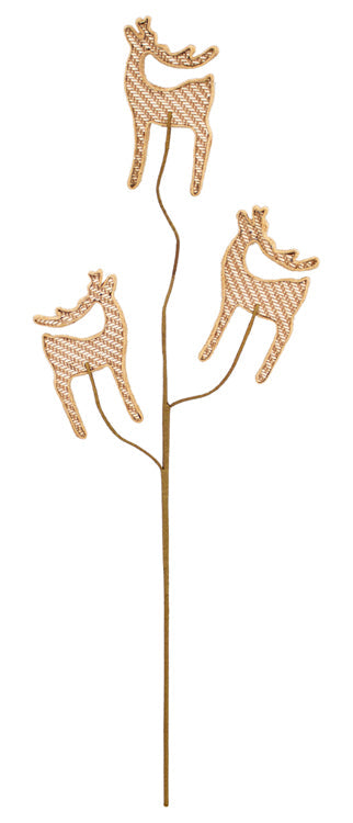 Deer & Moose