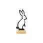 Bunnies