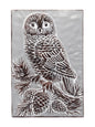 Owls
